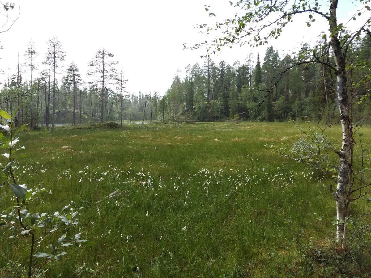 Salmikankaankelo C4 Ruka Eksteriør bilde