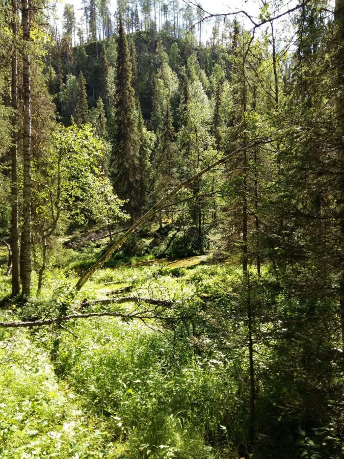 Salmikankaankelo C4 Ruka Eksteriør bilde